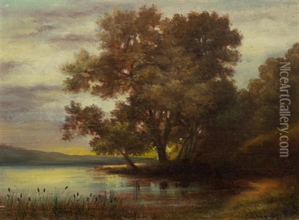 Study Of A Lakeshore Oil Painting - Robert Zuend