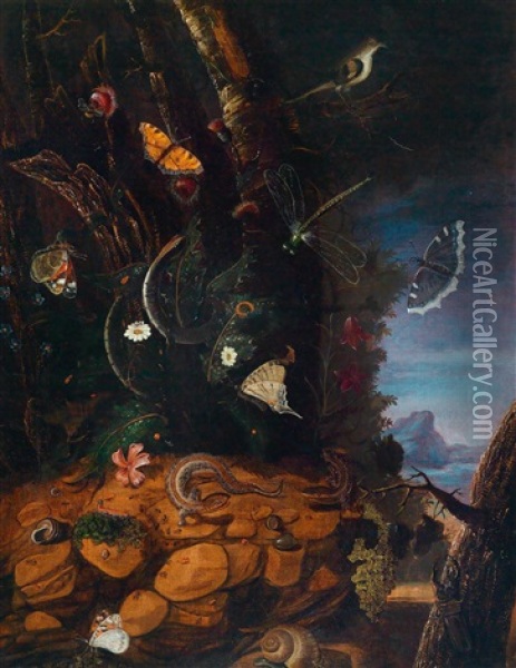 Waldbodenstillleben Oil Painting - Carl Wilhelm de Hamilton