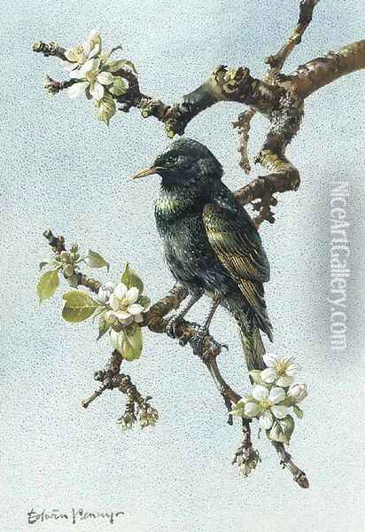 A starling Oil Painting - Edward Penny