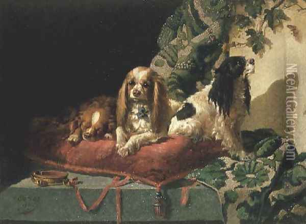 King Charles Spaniels Oil Painting - Vincent de Vos