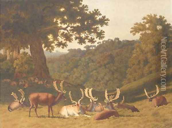 Stags and hinds resting in a parkland landscape Oil Painting - Robert Hills