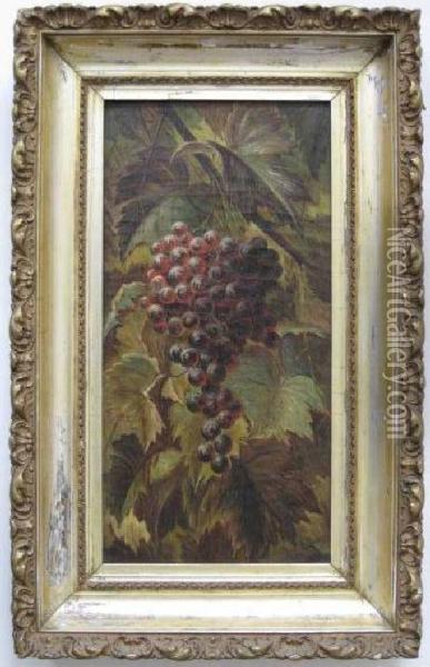 Grapes On The Vine Oil Painting - Elizabeth E. Bundy