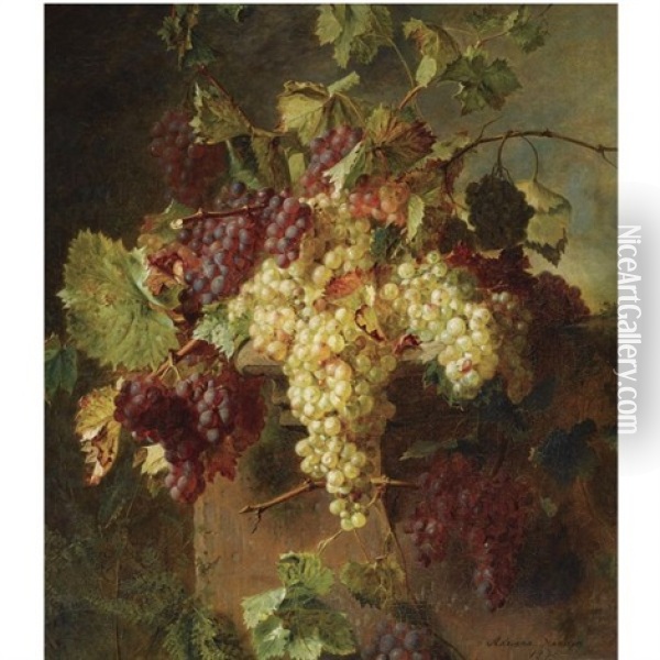 A Still Life With Grapes Oil Painting - Adriana Johanna Haanen