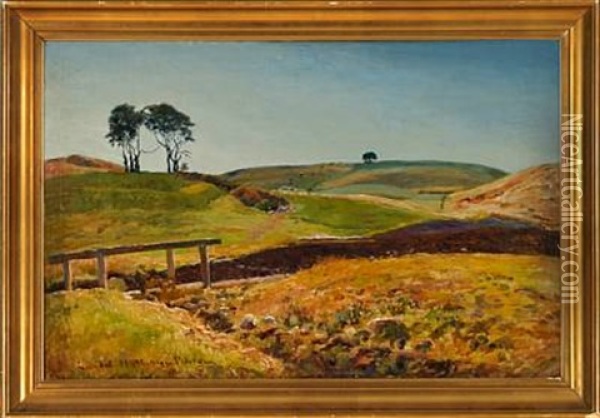 Overlooking A Hilly Landscape Oil Painting - Viggo Pedersen