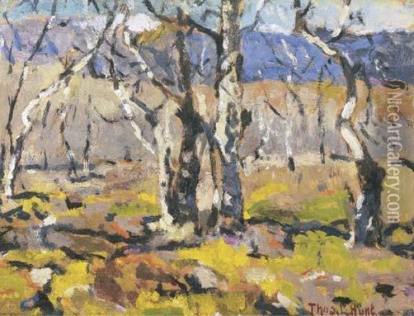 Sierra Madre Landscape Oil Painting - Thomas Hunt