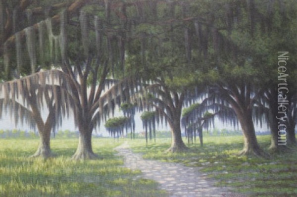 Louisiana Landscape Oil Painting - Peter Joseph Lawrence Mars