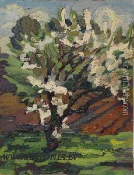 Flowering Tree Oil Painting - Aleksandrs Strals