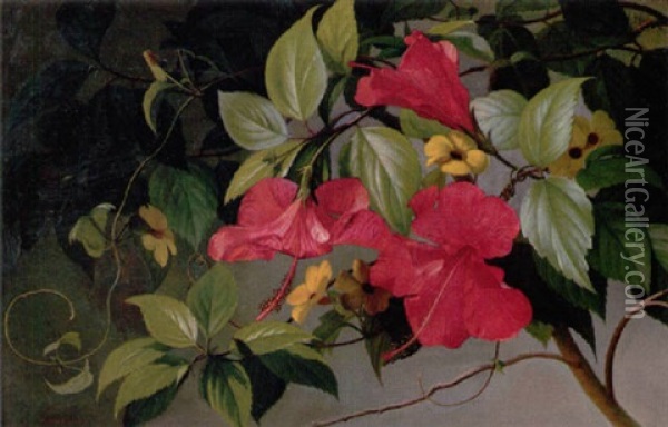 Hawaiiblomster (hibiscus) Oil Painting - Carl Vilhelm Balsgaard