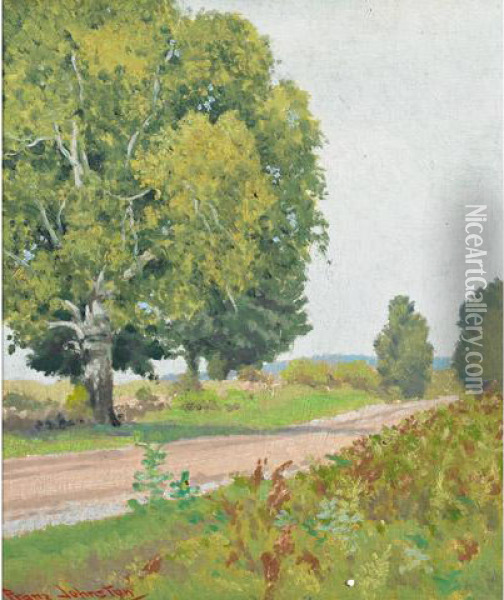 September Side Road Oil Painting - Franz Hans Johnston