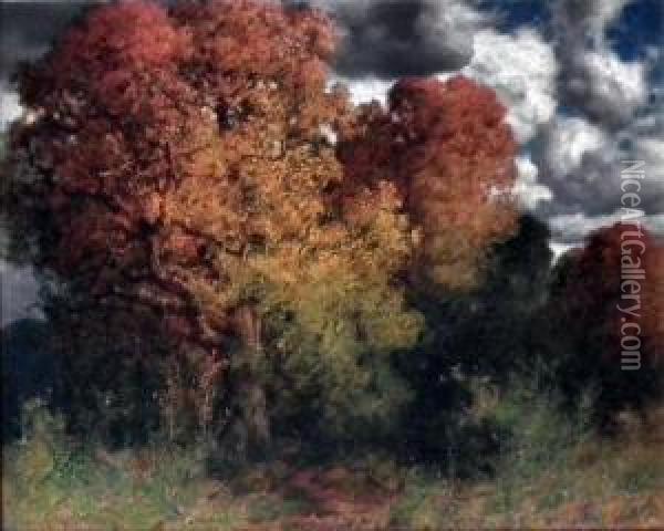 Autumn Trees Oil Painting - Hermann Rudisuhli
