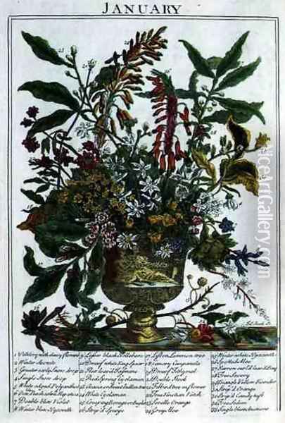 January, from 'The Flower Garden Displayed Oil Painting - Pauwel Casteels