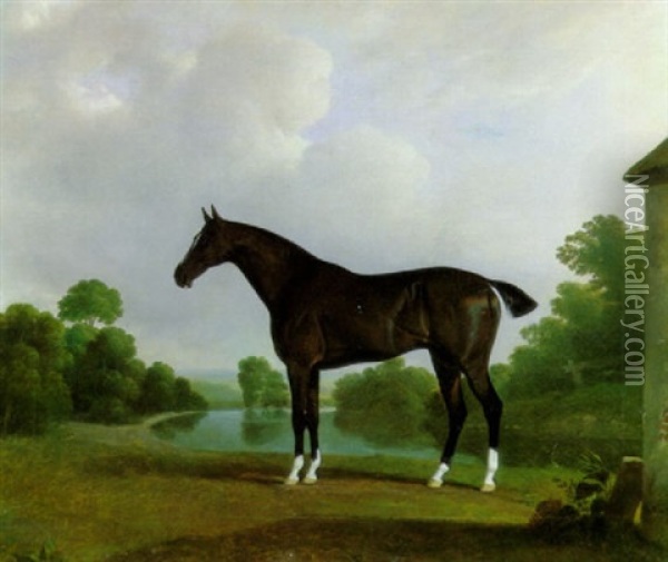 A Black Racehorse With White Stockings Standing In A River Landscape Oil Painting - John Doyle