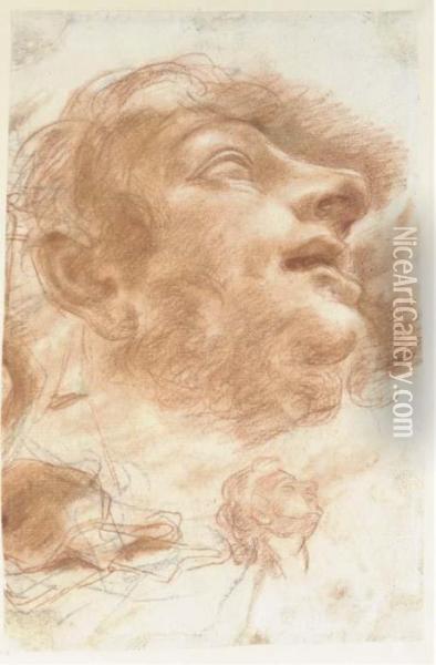Head Of A Man Looking Up, In 
Profile To The Right, With Asubsidiary Study Of The Same (recto); Two 
Studies Of A Bowl(verso) Oil Painting - Domenico Maria Canuti