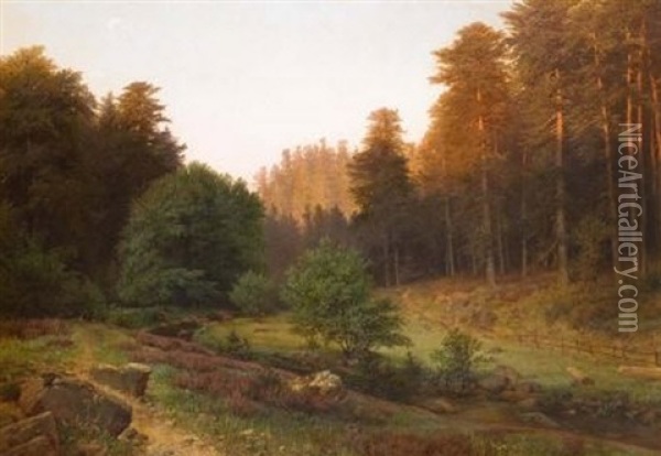 Aus Dem Preusischen Oberland - Abendsonne (im Hochwalde) Oil Painting - Emil Zschimmer