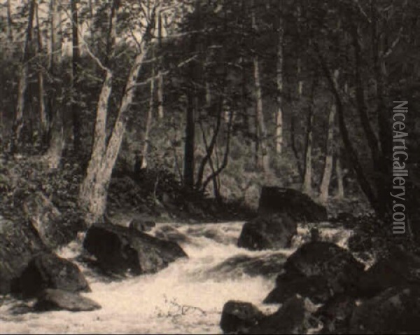 A Stream In A Wooded Landscape Oil Painting - Axel Wilhelm Nordgren