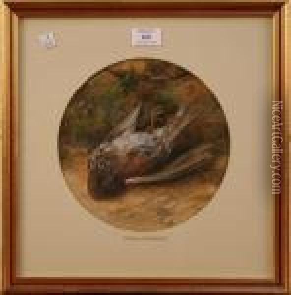 Tondo Study Of A Fallen Bird Oil Painting - William Cruickshank