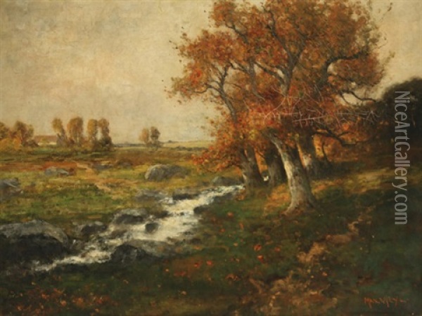 Autumnal Landscape With Cascading Stream Oil Painting - Max Weyl