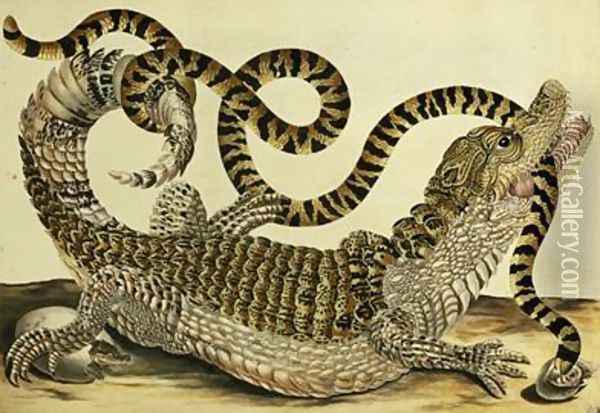 Alligator and Snake 1730 Oil Painting - Maria Sibylla Merian