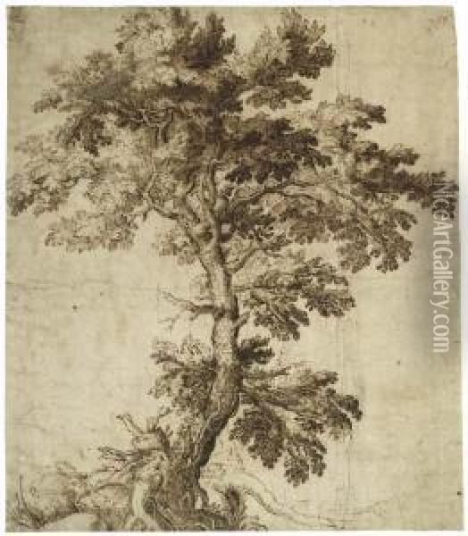 A Tree On An Outcrop Oil Painting - Girolamo Muziano