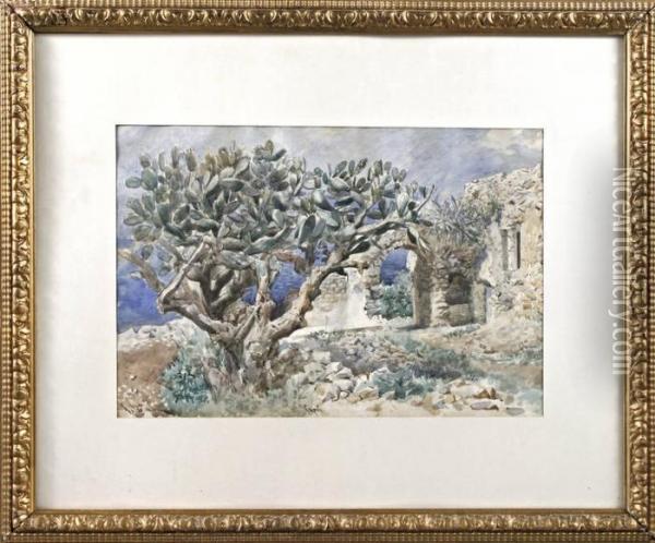 Feigencactus In Capri - Italien Oil Painting - Georg Johann Christ. Urlaub