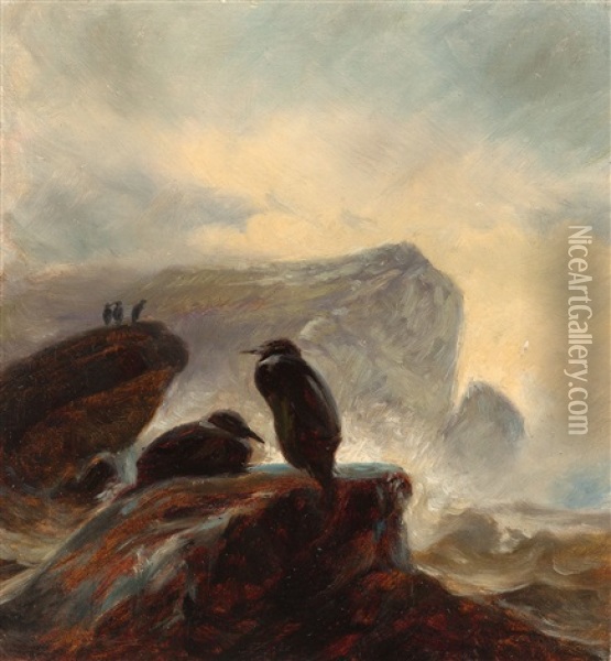 Kormorane An Felsiger Meereskuste Oil Painting - Thomas Fearnley