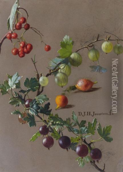 Branches De Groseille Oil Painting - Dirk Jan Hendrik Joostens