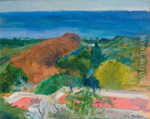 Jardin D'essai Vue De La Villa Abd-el-tif Oil Painting - Paul Emile Dubois