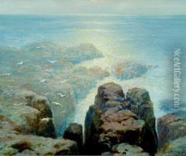 Seascape With Cliffs And Birds Oil Painting - Ernest Albert