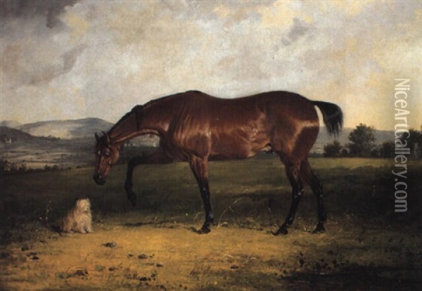 Study Of A Bay Horse And A Terrier In A Landscape Oil Painting - Henry Calvert