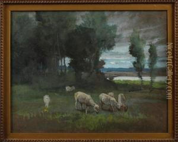 Sheep Grazing In A Field Oil Painting - George Percy Jacomb-Hood