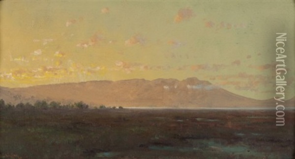 Marshland Landscape Oil Painting - Charles Robinson