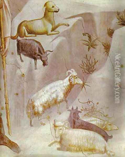 Joachims Dream Detail 1304-1306 Oil Painting - Giotto Di Bondone
