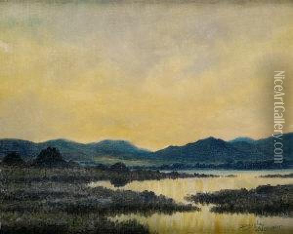 Bogland, Connemara Oil Painting - Douglas Alexander