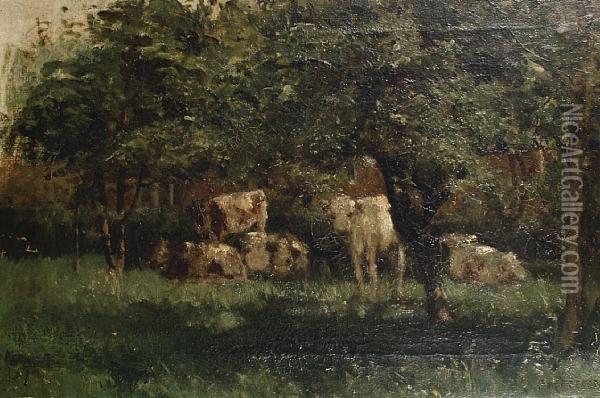 Cattle In Dappled Sunlight Oil Painting - Arthur Douglas Peppercorn