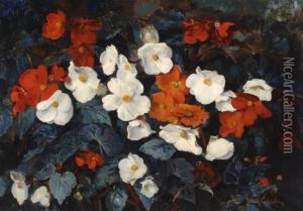 Anemones Oil Painting - Frans David Oerder