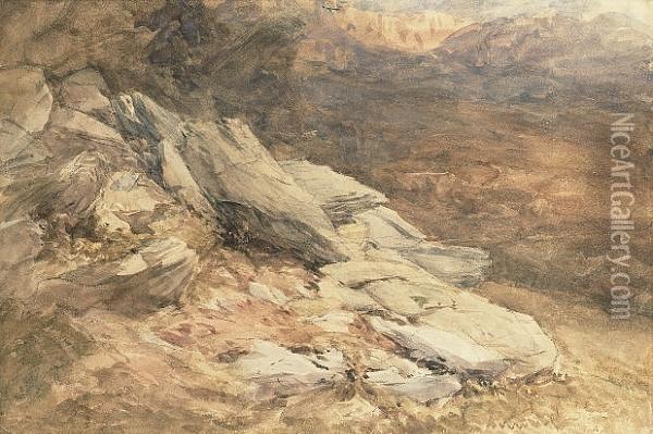 A North Wales Hillside Oil Painting - David I Cox