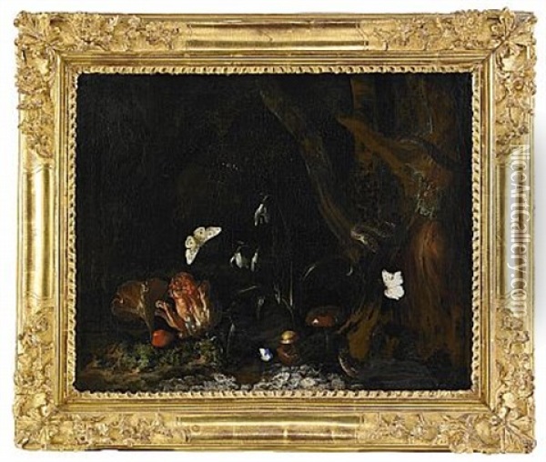 Skogsbild Med Ormar, Fjarilar Och Svampar Oil Painting - Otto Marseus van Schrieck