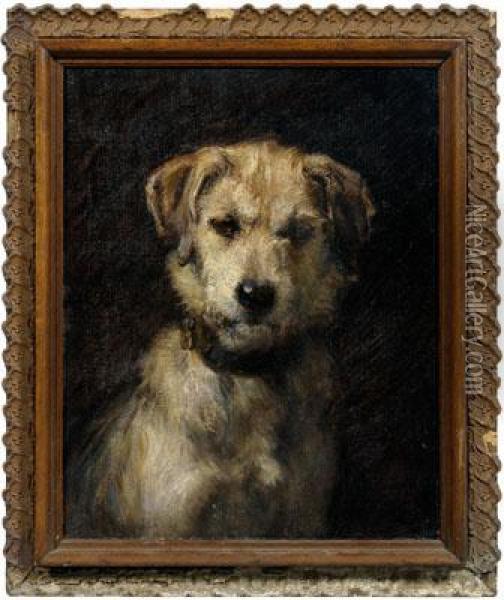 A Rough-coated Fox Terrier Oil Painting - Percy Harland Fisher