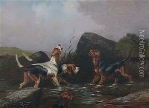 Four Hounds In A Stream Oil Painting - Colin Graeme