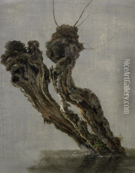 Study Of A Pollarded Tree Stump Standing In Water Oil Painting - Jean-Antoine Constantin d'Aix