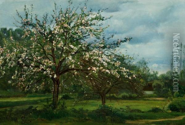 Fruit Trees In Bloom, France Oil Painting - Christian Zacho