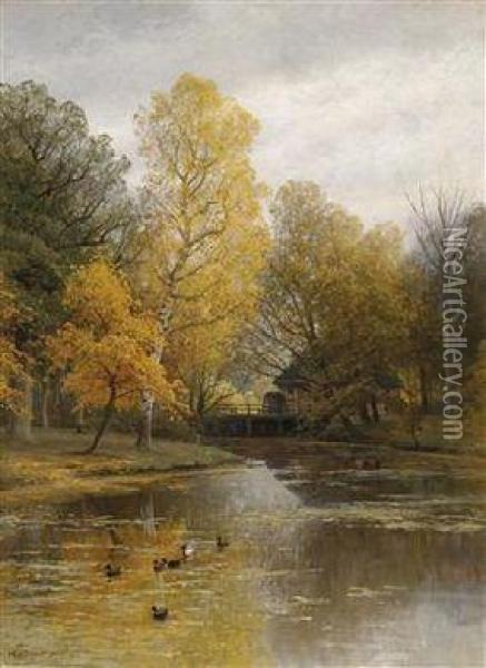 River Landscape With Ducks Oil Painting - Heinrich Deiters