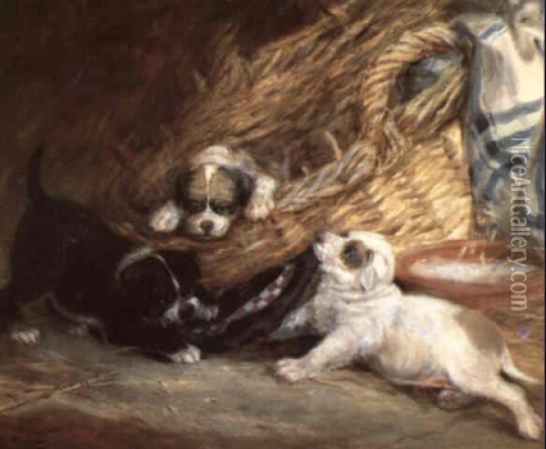 Hurrah For The Bonnets Of Blue: Portrait Of Three Puppies Oil Painting - Alexander Forbes