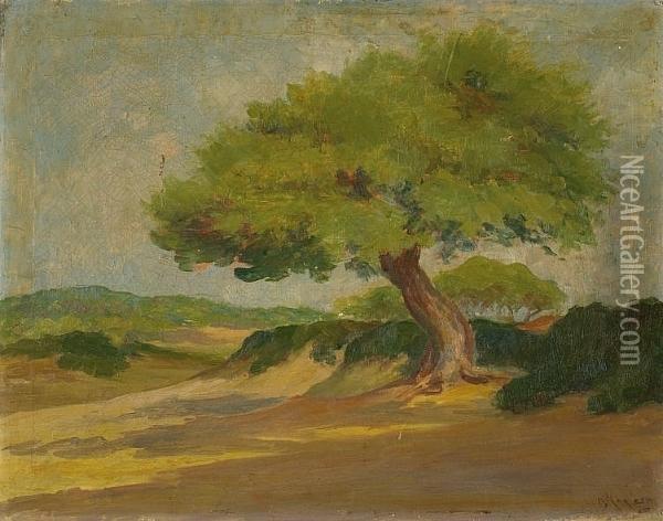 Landscape With Pine Tree Oil Painting - Vassilis Magiassis