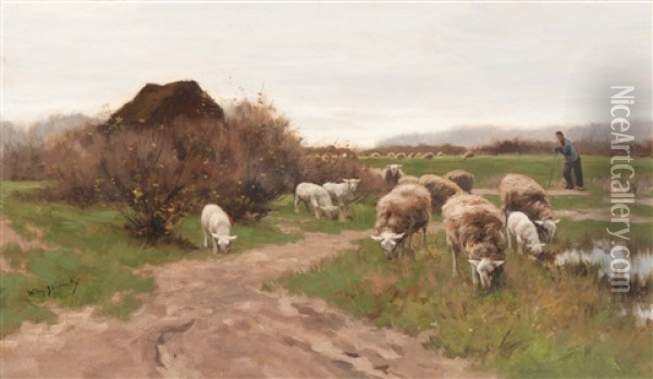 Shepherd With His Flock Of Sheep On The Heather Oil Painting - Willem Steelink