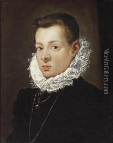 Portrait Of Ayouth Wearing A Ruff Oil Painting - Lodovico Carracci