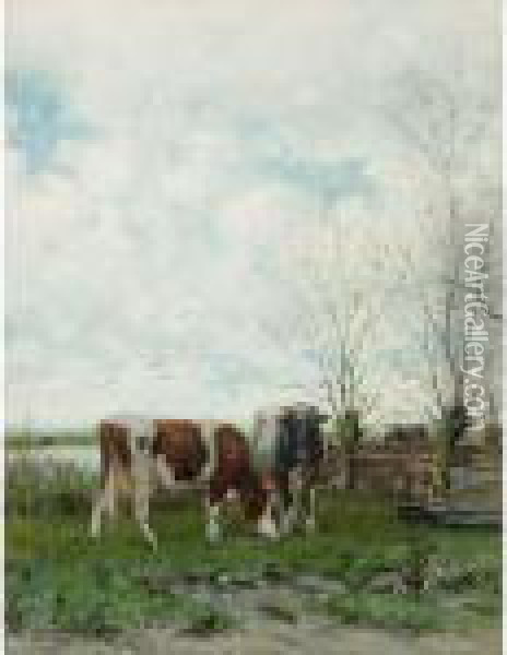 Cows At Pasture Oil Painting - Jan Martinus Vrolijk