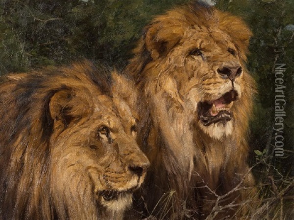 Two Lions Oil Painting - Geza Vastagh