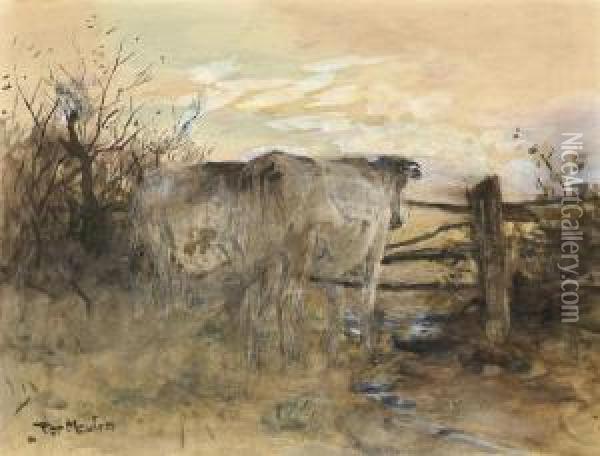 Cattle At Sunset Oil Painting - Francois Pieter ter Meulen