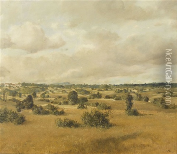 Les Marais De Margencel Oil Painting - Rudolph Mueller